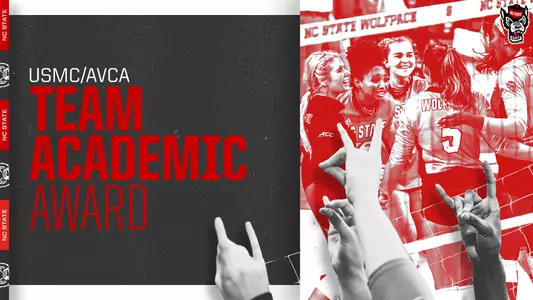 AVCA Academic Team Award