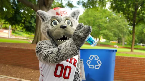 Mr Wuf recycling