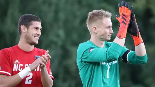 Pedregosa Krapf 2021