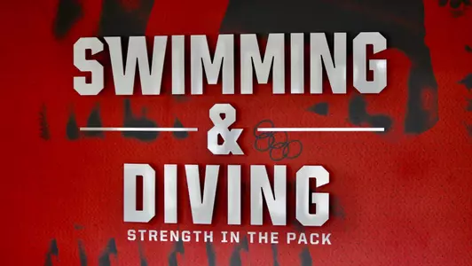 Swim and dive