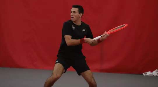 Luca action vs Harvard