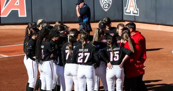 Softball in AZ
