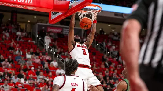 Styles Dunk USC Upstate