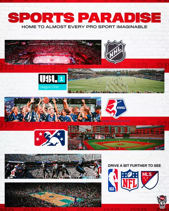 Sports Paradise