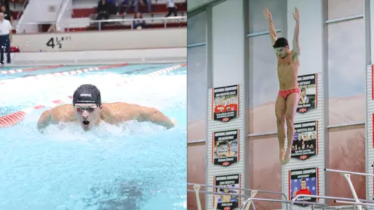 Henderson and Calderaro