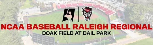 Baseball Regional Banner