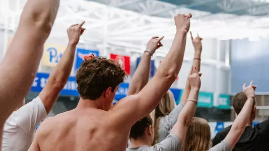 Swim and Dive