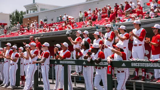 Baseball clapping in dugout