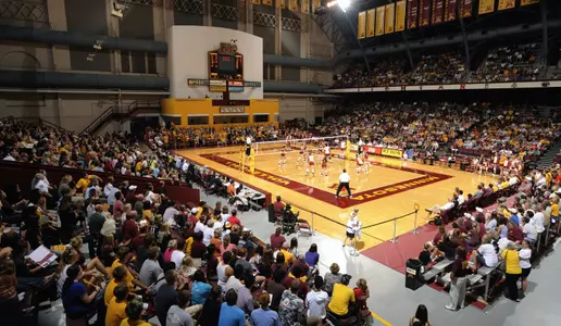 Gophers fall in three to PSu