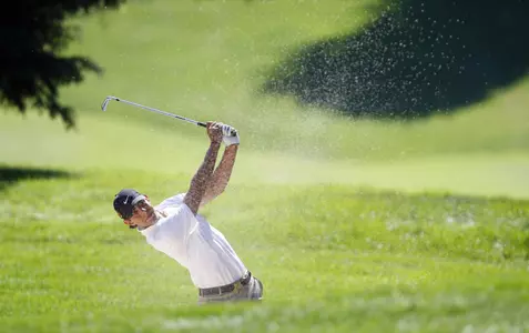 Van Rooyen's fall stroke average is 73.11.