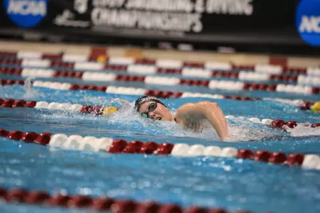 Ashley Steenvoorden is one of seven seniors on the Gophers' roster this season.