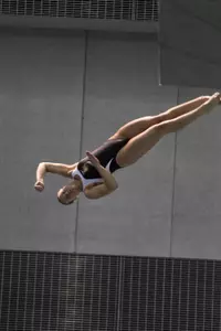 Three Gophers finished in the top 10 in 1 meter diving Thursday.