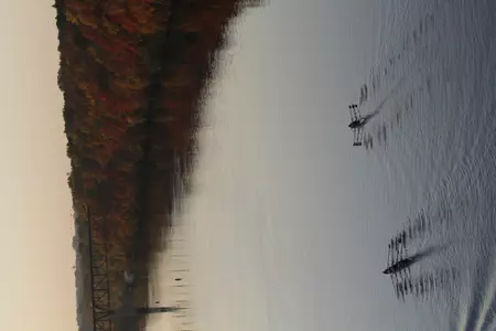 The Gophers will race against Indiana and Ohio State Saturday.