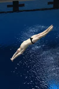 Ross and Lesser compete next at the NCAA Championships