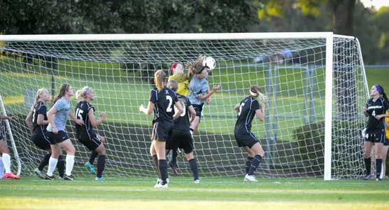 Freshman step up as the Golden Gophers surge past Toledo in season opener.