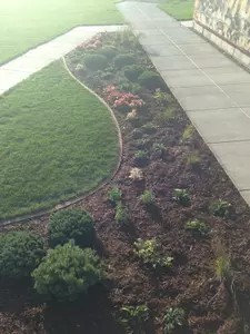 Dianne Ficenko worked with the baseball team for 24 years.