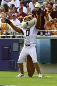 The Gophers will learn their bowl fate on Sunday.