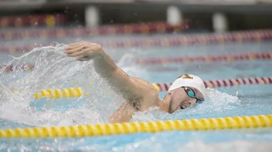 Michael Messner swept the distance freestyle events.