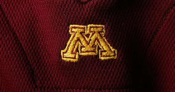 Gopher graduate rates were at 88 percent in 2015.