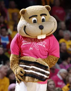 Fans are encouraged to wear pink to Sunday's game.