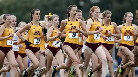 Griak 2018