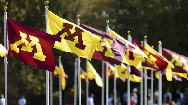 Minnesota Flags