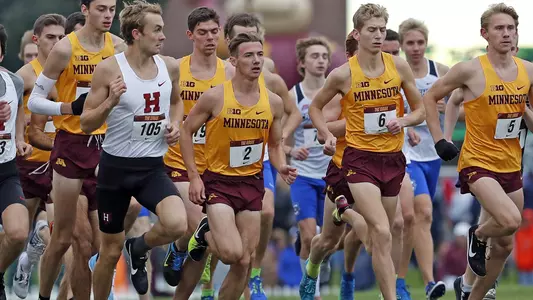 Griak 2018