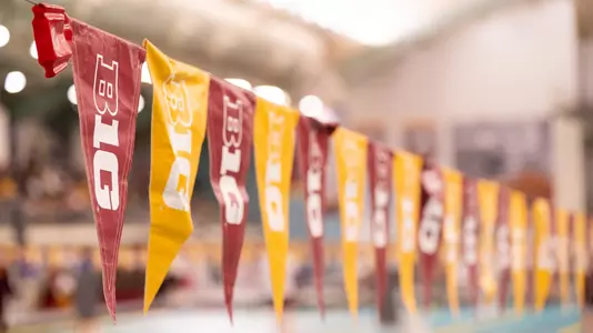 Minnesota Big Ten Flags