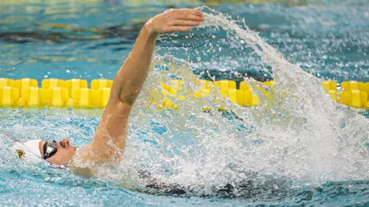 Emily Cook (swimming)