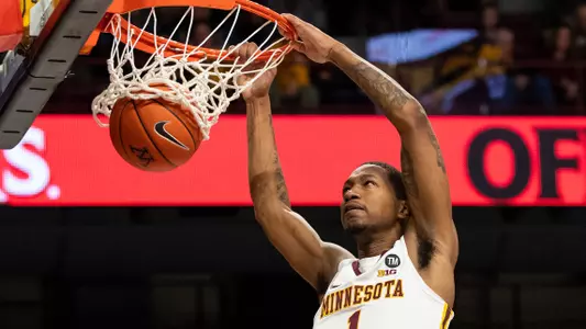 Minnesota Gophers guard Dupree McBrayer (1)