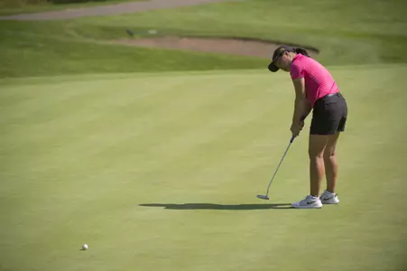 (Photo/Craig Lassig)