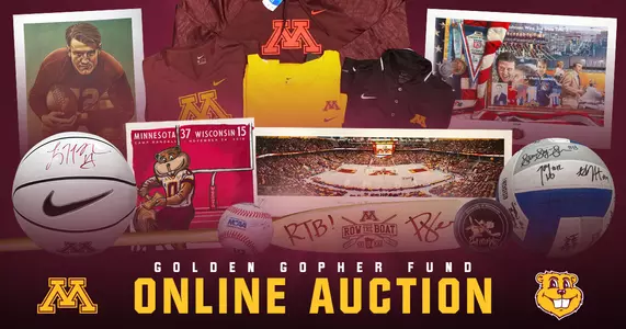 Auction 2019