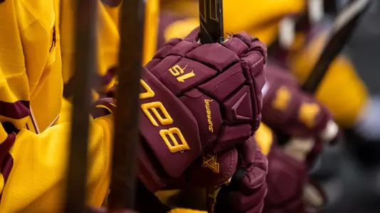 Robert Morris vs Minnesota