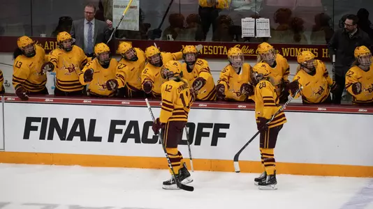 Gophers Bench