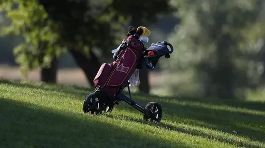 varsity bolstad golf bag