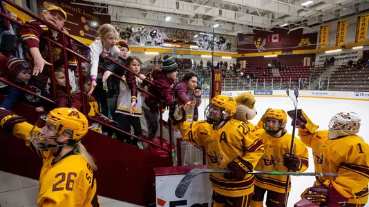 team, fans