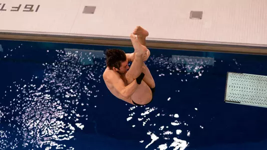 Maxim Royzen (diving)