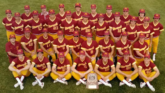 timeline 1982 baseball