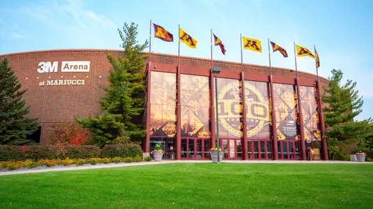3M Arena at Mariucci Mural Update