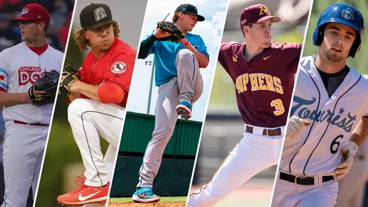 Gophers in the Pros (multi)