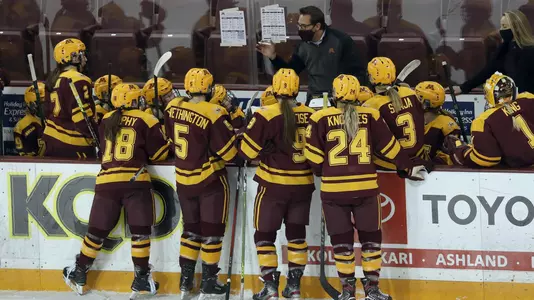 Gophers at UMD