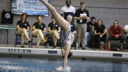 Jae Sarkis (diving)