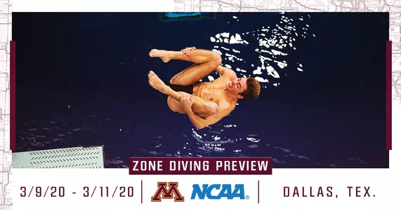 Men's Diving Zones (graphic)