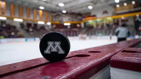 Minnesota puck