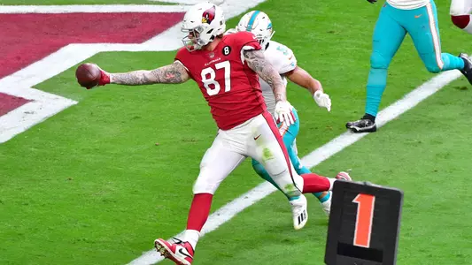 NFL: Miami Dolphins at Arizona Cardinals