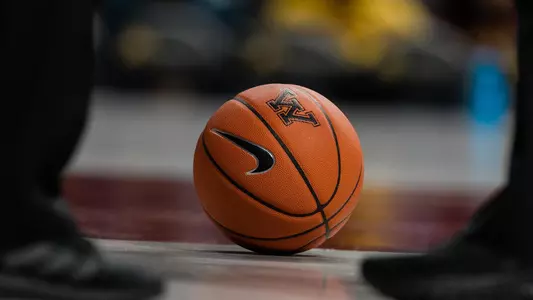 Basketball sport art