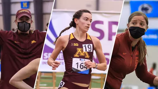 Bingle, Hasz, Hopkins