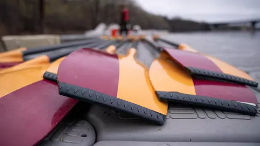 Rowing Sportart Spart