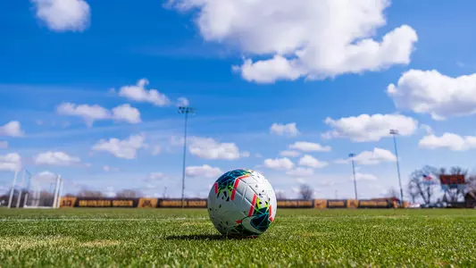 Soccer Sportart