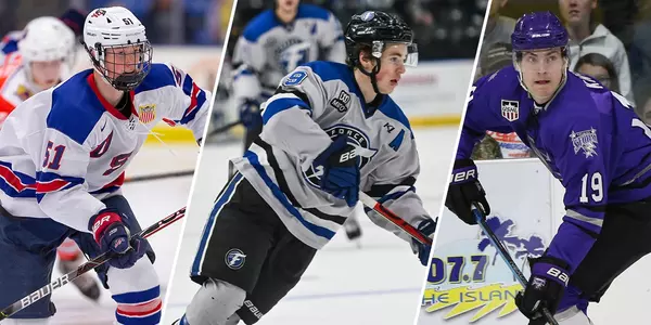 NHL Scouting Final 2021